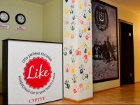 Like Hostel Surgut