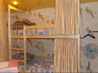 Kvart Hostel