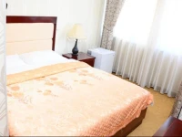 Sary Arka Hotel Shymkent 4*