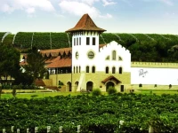Purcari Winery 4*