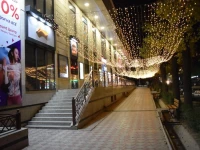 Apartment Kievskaya 114/2 