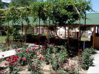 Tes Guest House