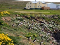 Guesthouse BГЎsar 