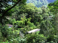 La Montana y el Valle Coffee Estate Inn