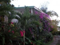 Natures Paradise Anse la Raye 3*