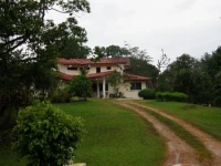 Sierra Llorona 4*