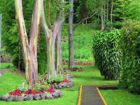 Bambito Resort
