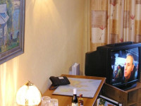 Business Center Zelenyi Hotel