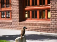 Hotel Edith 3*