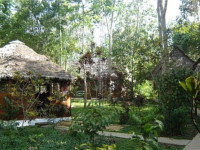 Posada Amazonas