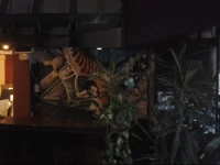 Hotel Artistico Patricios 1*