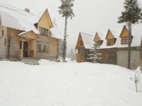 U Bogdana