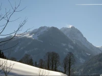 Rohrlbauer 