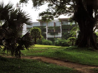 The Chava Resort