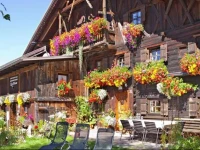 Ferienhaus Knor 