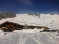 Ellmaugrundalm