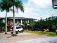 Palma Rima 