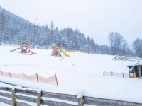 Kinderhotel Appelhof 4*
