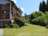 Dualhaus Apartments 