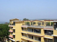 Goan Clove