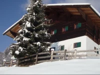 Thalernhof - Almhutte Kitzbuhel 