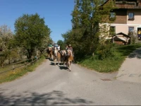 Reitbauernhof Ferner 