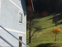 Urlaubsappartement Waldrandhof 