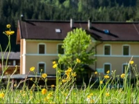 Gabis Lodge 