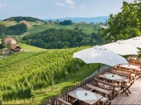 Winzerzimmer Maitz Wolfgang 