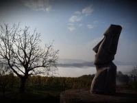 Winzerei Reiterer 