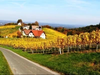 Weingut Schwarzl 