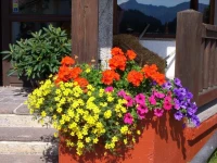 Gastehaus Wotzer und Landhaus Stocka 