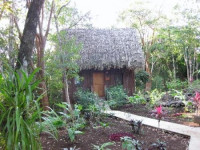 Mariposa Jungle Lodge
