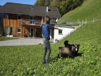 Haus Lingg 