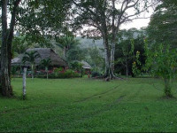 Mama Noots Jungle Resort
