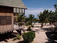 Green Parrot Beach Houses and Resort