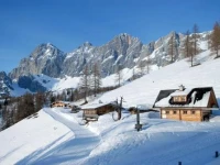 Chalet Kuschelhutte 