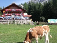 Gasthof Edelbrunn 
