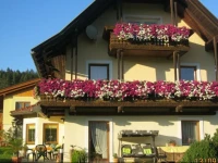 Apartment Gritznig 