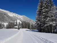 Bergfuhrer-Husle 