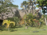 Palmento Grove Cultural & Fishing Lodge