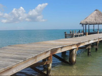 Parrot Cove Lodge