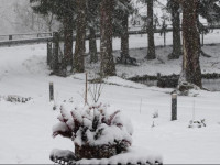 B&B Het Groote Genoegen