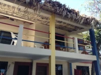De Real Macaw 2*