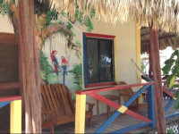 De Real Macaw