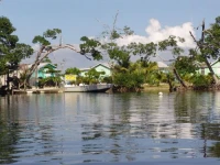 Kingfisher Tarpon Caye Lodge 3*
