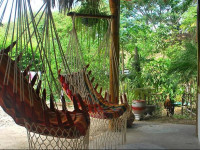 Hostal Roses