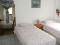 Mimosa Puerto Ayora 
