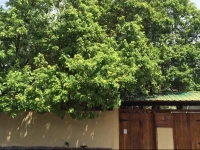 Sol Marina Guest House 