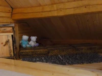 Juula Holiday Home 